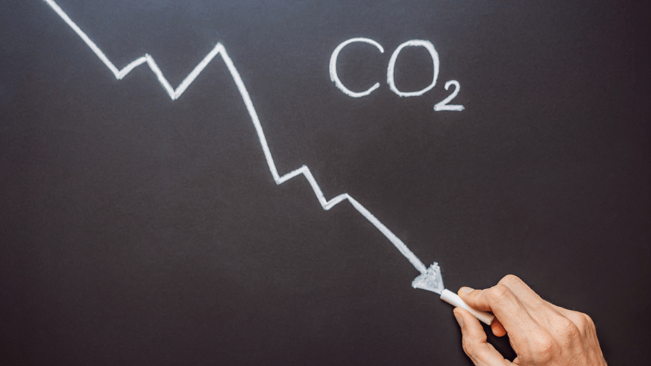 Oat Lattes to Save the Planet? A closer look at the environmental impact of alternative milks 7